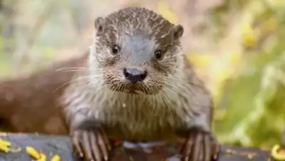 Delfi, фото - Новости Zakon.kz от 18.06.2018 00:39