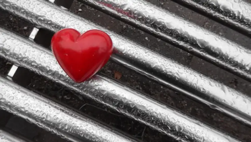 Житель Талдыкоргана зарезал жену за измены и спрятал труп в погребе