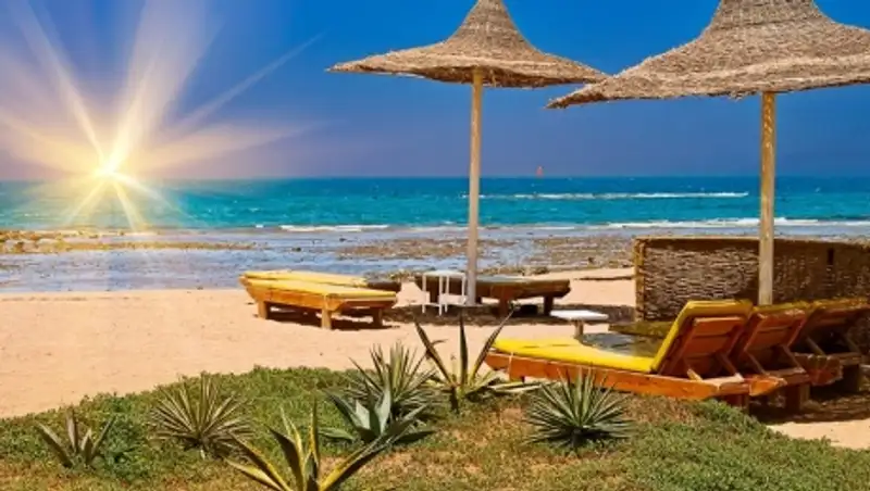 Казахстан возобновляет воздушное сообщение с Египтом 