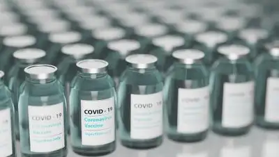 pixabay.com, фото - Новости Zakon.kz от 21.01.2021 07:02