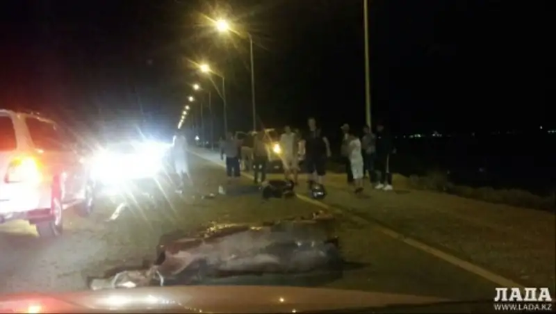 В Актау мотоцикл столкнулся с лошадью