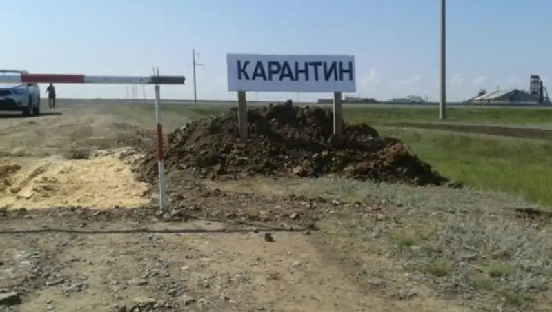 Карантин по сибирской язве в Павлодарской области снимут 26 июля