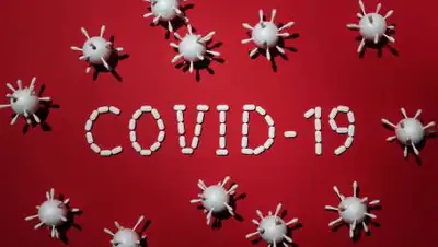 pexels.com, фото - Новости Zakon.kz от 14.05.2021 10:04