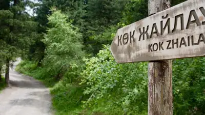 Facebook, фото - Новости Zakon.kz от 21.08.2019 09:51