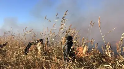 Смог в Атырау: животные и птицы не пострадали , фото - Новости Zakon.kz от 04.04.2023 07:20