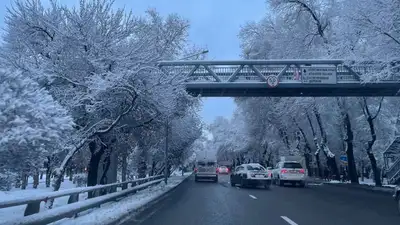 Синоптики рассказали, какой будет погода в Астане, Алматы и Шымкенте в ближайшие три дня, фото - Новости Zakon.kz от 27.02.2023 15:07