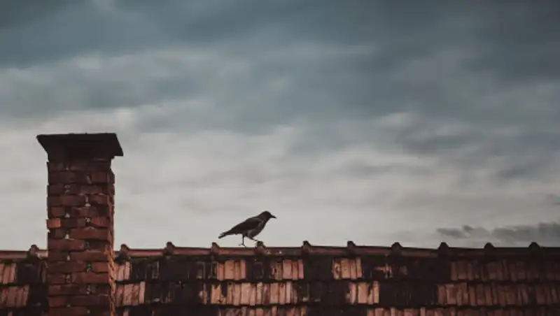 Житель Рудного упал с крыши многоэтажки