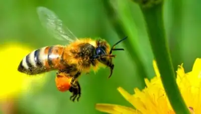 Zakon.kz, фото - Новости Zakon.kz от 02.08.2015 16:54