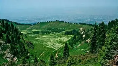 Zakon.kz, фото - Новости Zakon.kz от 23.06.2014 21:06