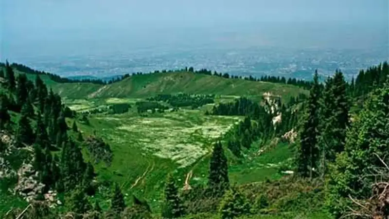 Директора КГУ "Государственный региональный парк "Медео" обвиняют в нарушении закона РК