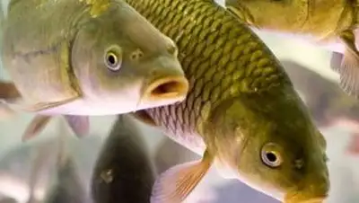 Zakon.kz, фото - Новости Zakon.kz от 15.02.2014 03:13