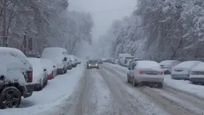 Zakon.kz, фото - Новости Zakon.kz от 21.10.2017 08:28