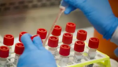 24tv.ua, фото - Новости Zakon.kz от 28.03.2020 22:02