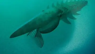 Zakon.kz, фото - Новости Zakon.kz от 10.02.2017 05:16