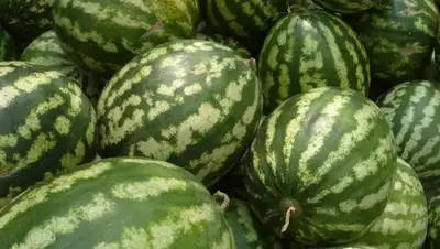 Zakon.kz, фото - Новости Zakon.kz от 30.06.2016 17:10