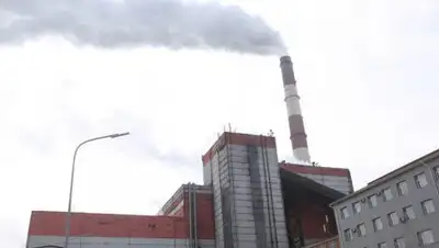 kursiv.kz, фото - Новости Zakon.kz от 24.01.2020 11:34