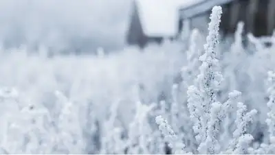 До 23 градусов мороза ожидается в Казахстане  , фото - Новости Zakon.kz от 18.11.2022 12:15