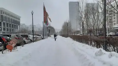 Полиция Астаны обратились к водителям и пешеходам о соблюдении ПДД, фото - Новости Zakon.kz от 21.12.2022 19:56