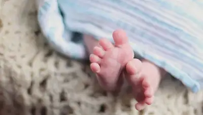 tsn.ua, фото - Новости Zakon.kz от 18.02.2020 18:21