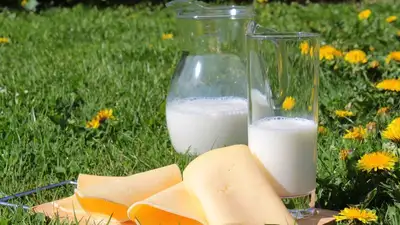 Специалисты рассказали, как выбрать безопасные молочные продукты, фото - Новости Zakon.kz от 01.09.2023 06:28