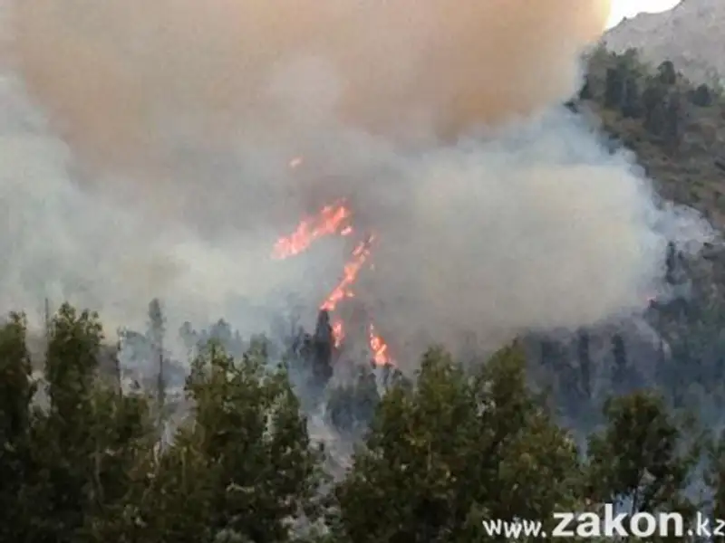 На Медеу сгорело 16 га восточной стороны горы Мохнатка (фото), фото - Новости Zakon.kz от 23.08.2012 14:39