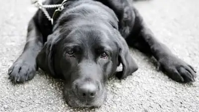 Zakon.kz, фото - Новости Zakon.kz от 27.07.2016 22:22