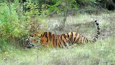 Zakon.kz, фото - Новости Zakon.kz от 15.10.2014 02:15