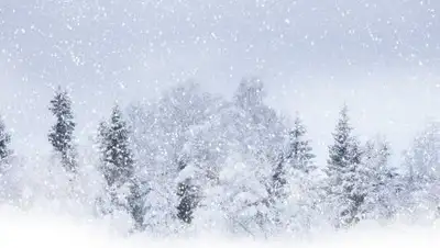 из открытых источников, фото - Новости Zakon.kz от 21.01.2019 11:26