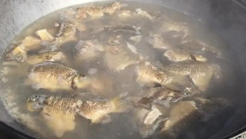 В Петропавловске на празднике "День карася" сварили 150 литров ухи