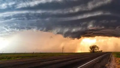 agrosmart.com.br, фото - Новости Zakon.kz от 10.08.2018 13:05