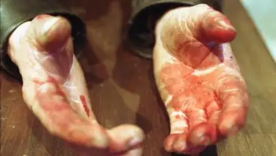 Zakon.kz, фото - Новости Zakon.kz от 12.10.2017 15:06