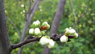 Zakon.kz, фото - Новости Zakon.kz от 27.04.2015 18:51