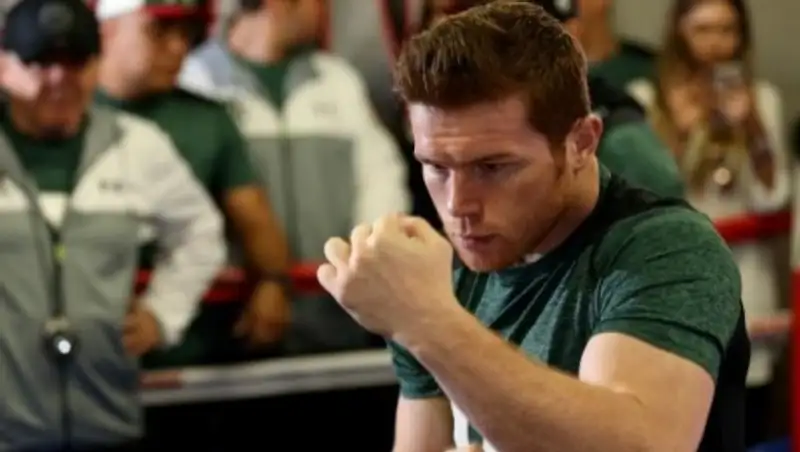 Альварес: Пожалуйста, не сравнивайте бой Головкина с Уэйдом ни с одним из моих