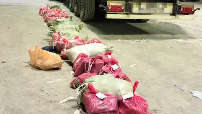 Партию наркотиков на 6 млн долларов задержали на границе с Кыргызстаном, фото - Новости Zakon.kz от 26.06.2023 19:26