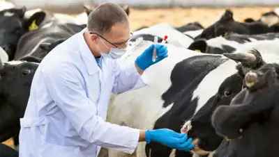 интерцимла.рф, фото - Новости Zakon.kz от 22.11.2019 10:50