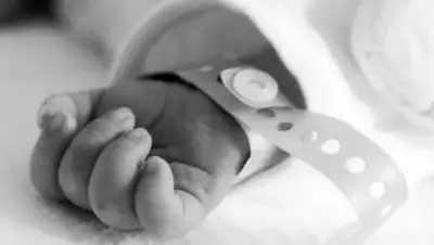 EvoNews, фото - Новости Zakon.kz от 13.03.2021 01:50