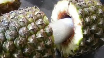 KP.UA, фото - Новости Zakon.kz от 27.08.2018 06:22