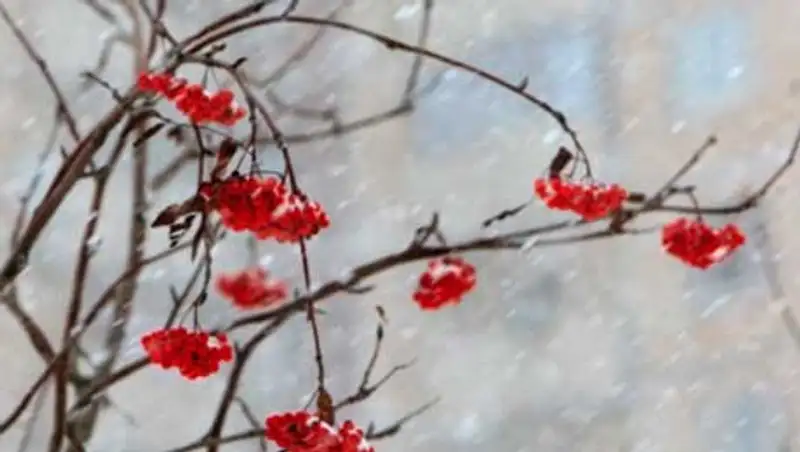 Туман, гололед и ветер ожидаются сегодня в большинстве регионов страны, фото - Новости Zakon.kz от 20.11.2013 15:09