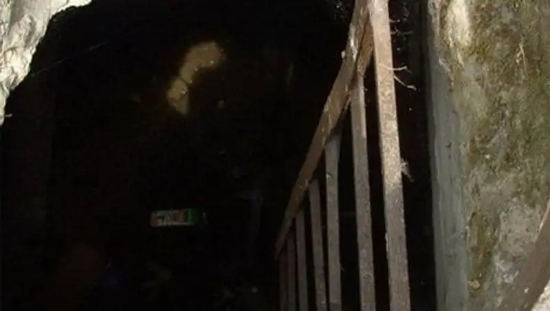 В Аркалыке 3-летняя девочка чудом осталась жива после падения в открытый колодец