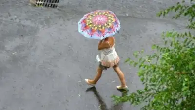 Zakon.kz, фото - Новости Zakon.kz от 10.07.2017 20:57