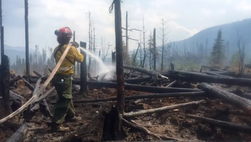Лесные пожары выселяют канадцев из домов