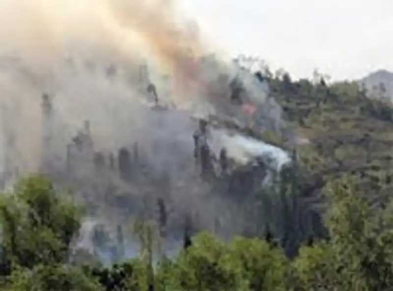 Первый заместитель Премьер-Министра Республики Казахстан ознакомился с ситуацией в районе горы «Мохнатка»