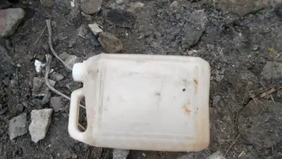 IPnews, фото - Новости Zakon.kz от 19.10.2018 15:23