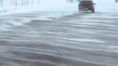 obk.kz, фото - Новости Zakon.kz от 28.10.2020 17:22