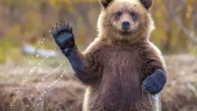 AdMe, фото - Новости Zakon.kz от 30.05.2018 06:32