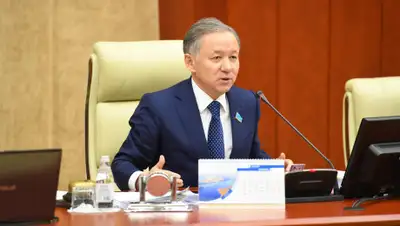 пресс-служба Мажилиса, фото - Новости Zakon.kz от 17.04.2019 11:45