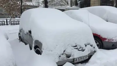 Zakon.kz, фото - Новости Zakon.kz от 12.01.2018 14:28