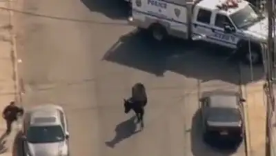 Zakon.kz, фото - Новости Zakon.kz от 22.02.2017 17:53