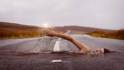 pixabay.com, фото - Новости Zakon.kz от 24.08.2021 07:39