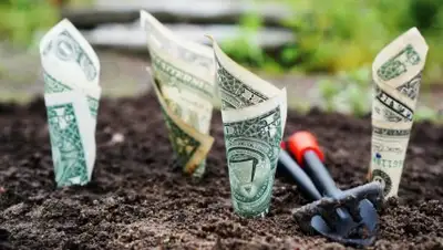 pxhere.com, фото - Новости Zakon.kz от 28.01.2019 15:15